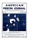 Magazine Cover